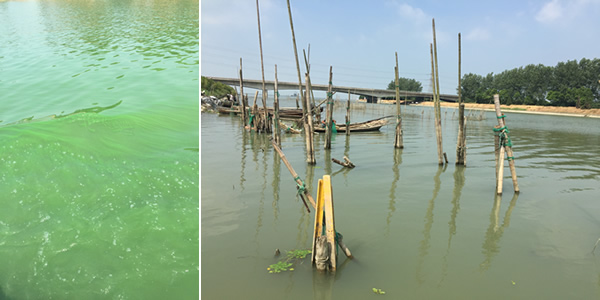 CytoSense藻類在線系統(tǒng)120h高頻次無(wú)故障運(yùn)行4.jpg CytoSense藻類在線系統(tǒng)120h高頻次無(wú)故障運(yùn)行4.jpg