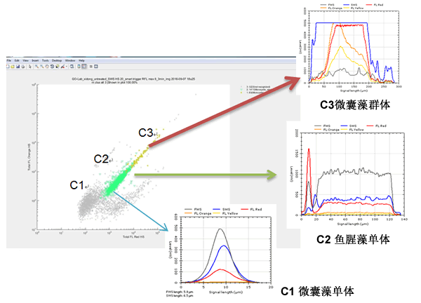 CytoSense藻類在線系統(tǒng)120h高頻次無(wú)故障運(yùn)行實(shí)驗(yàn)效果圖.gif CytoSense藻類在線系統(tǒng)120h高頻次無(wú)故障運(yùn)行實(shí)驗(yàn)效果圖.gif