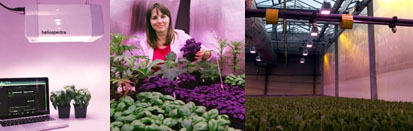 55555555555.jpg 55555555555.jpg