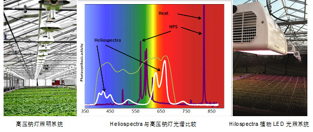 8888888888888888888.jpg 8888888888888888888.jpg