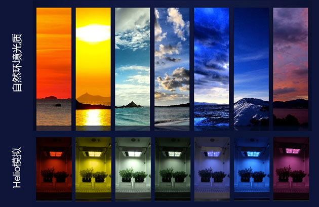 999999999999.jpg 999999999999.jpg