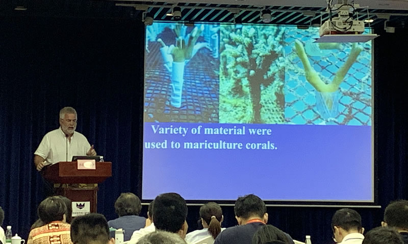 沙菲爾?沙伊.jpg 沙菲爾?沙伊.jpg