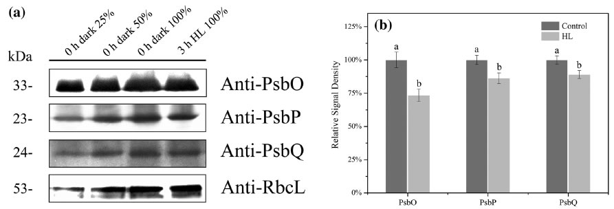 圖7200507.jpg 圖7200507.jpg