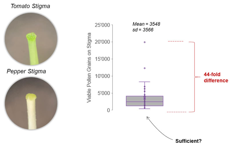 圖1201012202.jpg 圖1201012202.jpg
