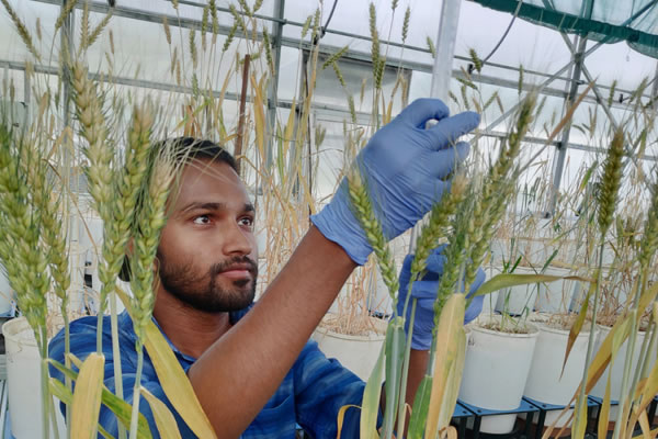 圖3201117012.jpg 圖3201117012.jpg