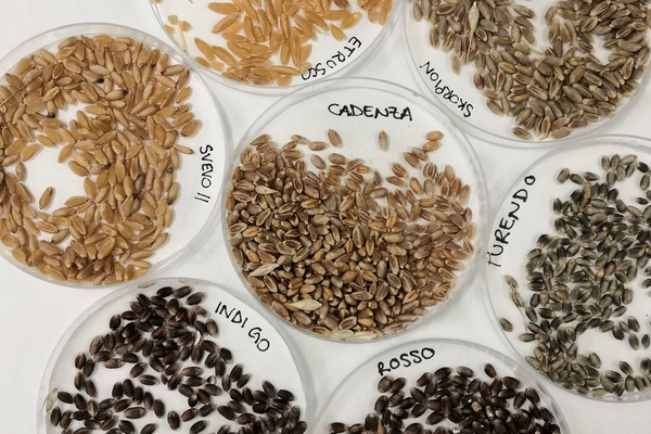 圖32011170113.jpg 圖32011170113.jpg