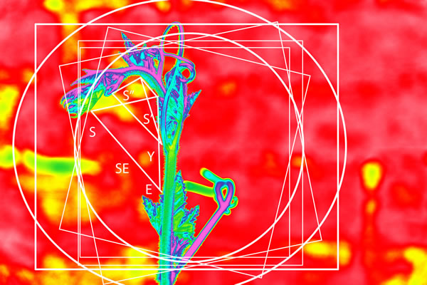 圖32011170117.jpg 圖32011170117.jpg