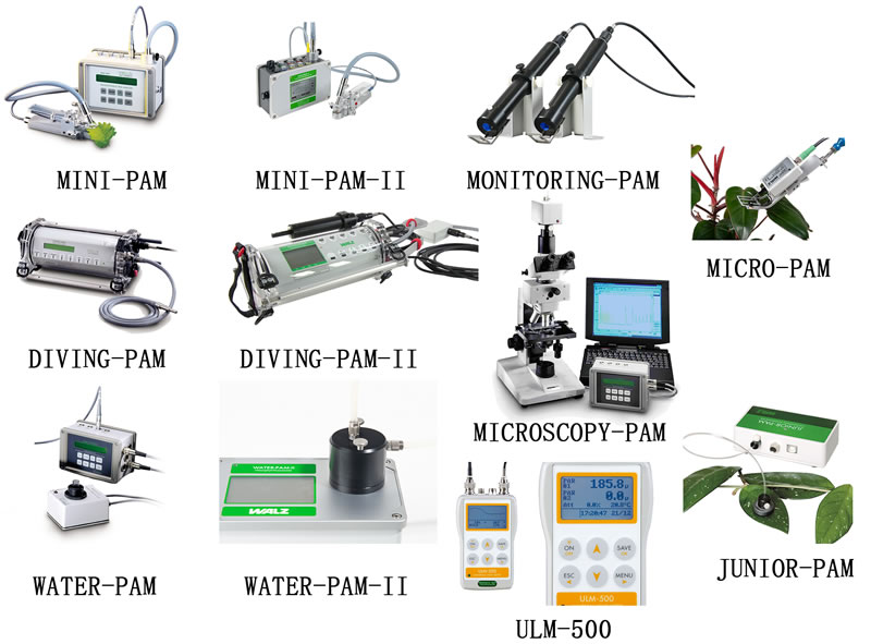 圖32111202.jpg 圖32111202.jpg