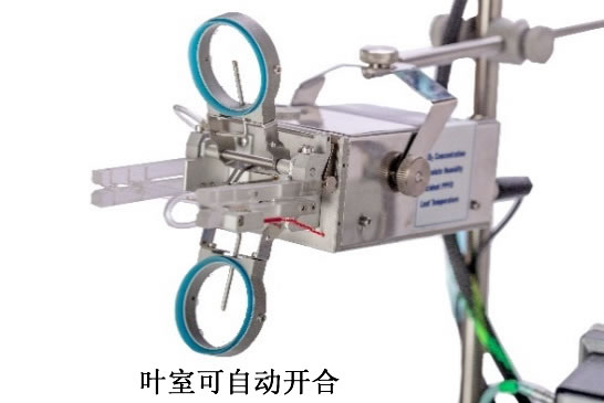 圖2220221.jpg 圖2220221.jpg