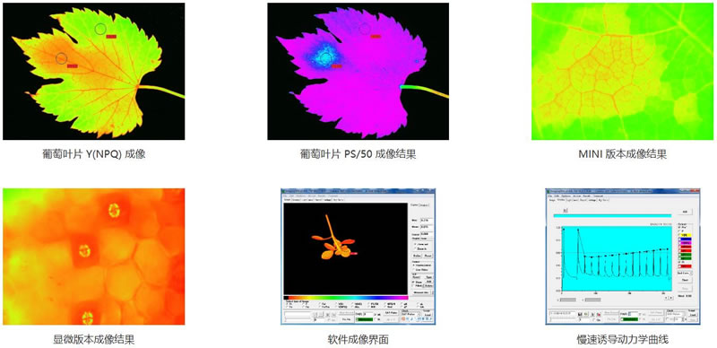 圖123032202.jpg 圖123032202.jpg