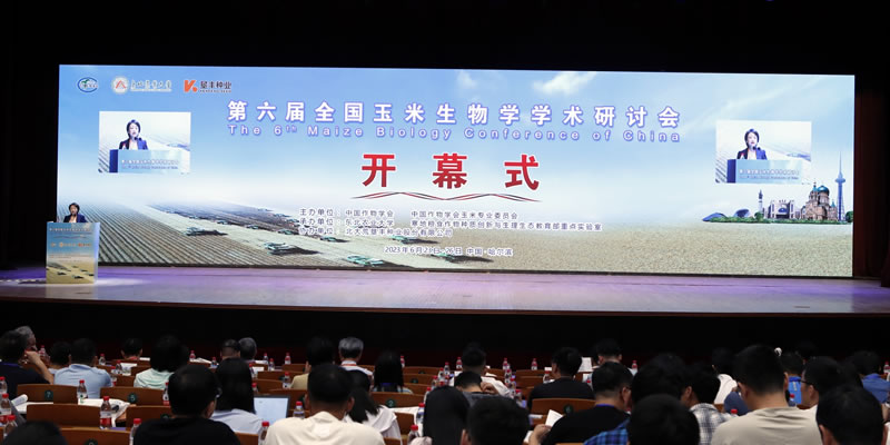 圖2230628012.jpg 圖2230628012.jpg