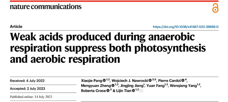 圖123072001.jpg 圖123072001.jpg