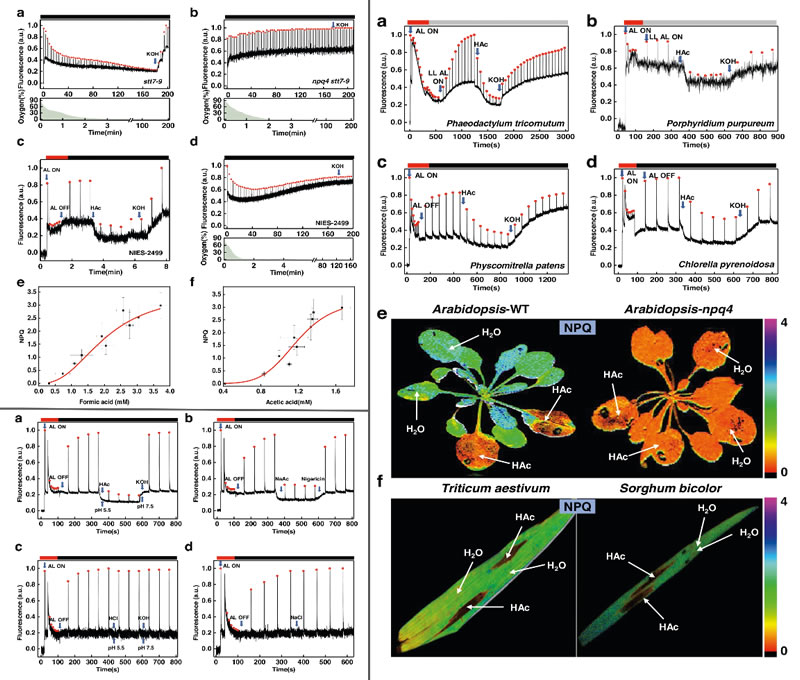 圖323072001.jpg 圖323072001.jpg
