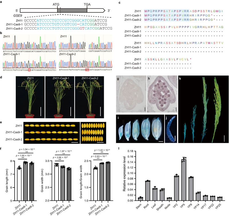 圖124041203.jpg 圖124041203.jpg