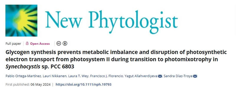 圖124050803.jpg 圖124050803.jpg