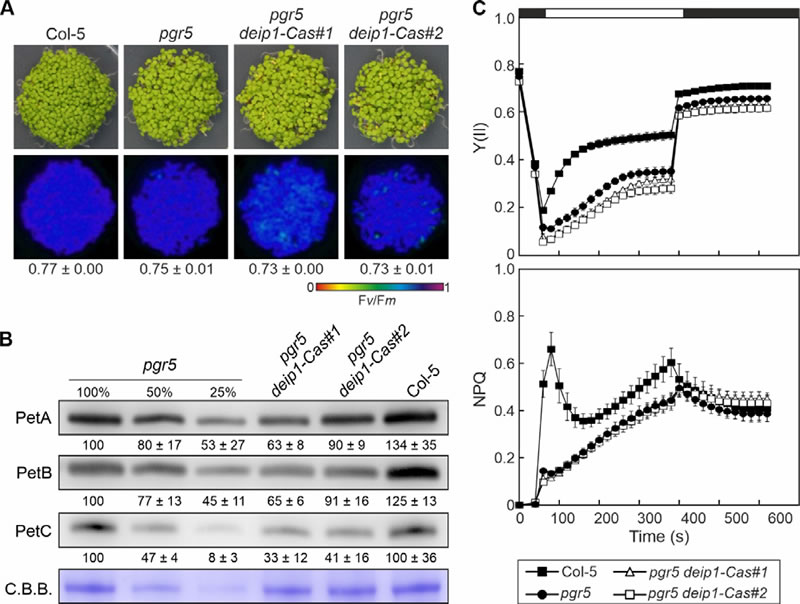 圖124032602.jpg 圖124032602.jpg