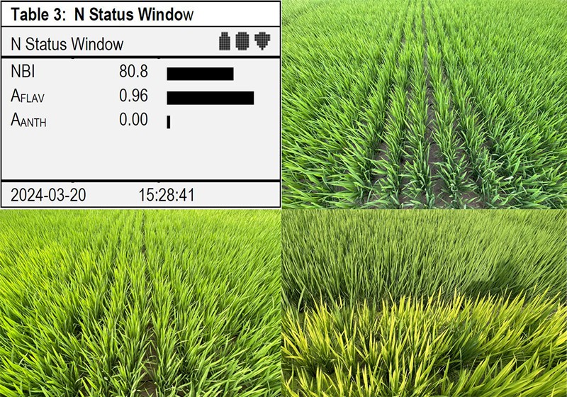 6669627ab51fa.jpg 6669627ab51fa.jpg