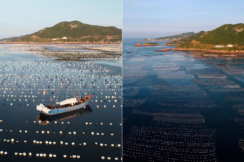 圖124082101.jpg 圖124082101.jpg