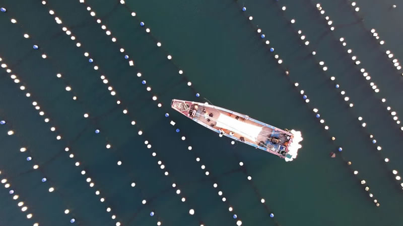 圖224082101.jpg 圖224082101.jpg