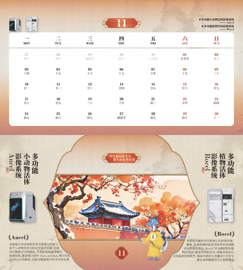 圖1224112401.jpg 圖1224112401.jpg