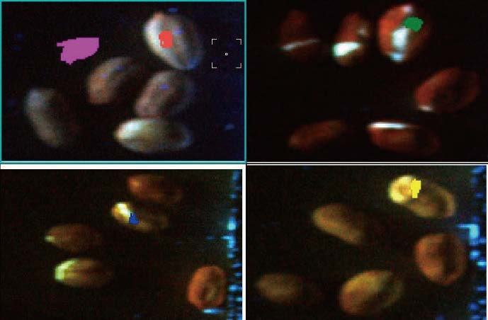 圖片6.png 圖片6.png