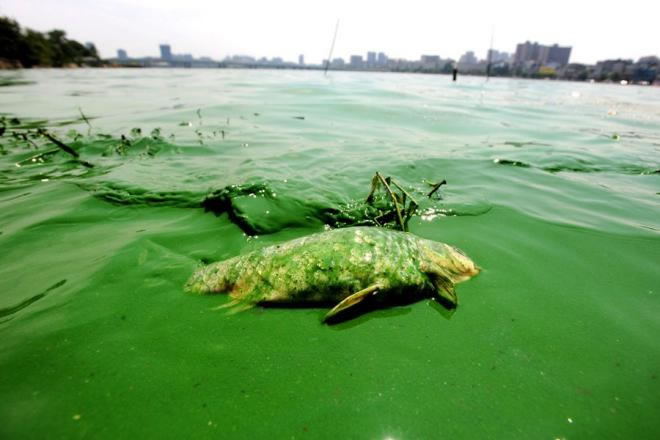 圖125021702.jpg 圖125021702.jpg