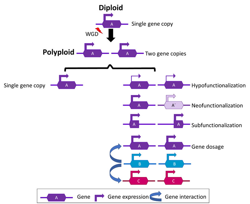 圖225021704.jpg 圖225021704.jpg