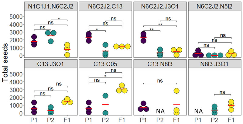圖425021704.jpg 圖425021704.jpg