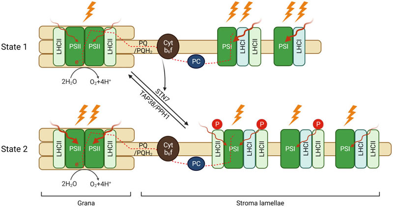 圖125022801.jpg 圖125022801.jpg