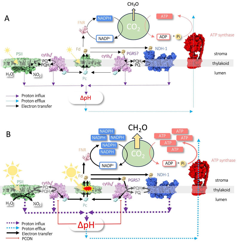 圖925022801s.jpg 圖925022801s.jpg