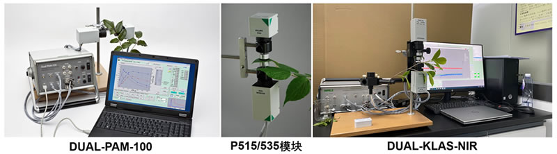 圖1225022801.jpg 圖1225022801.jpg