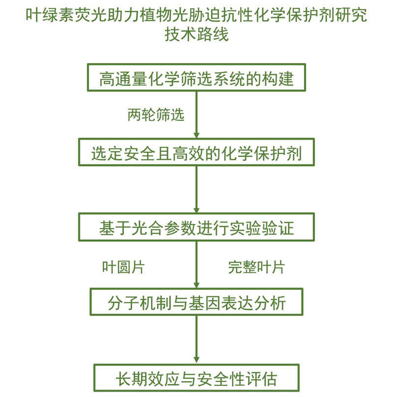 Technical route.jpg Technical route.jpg