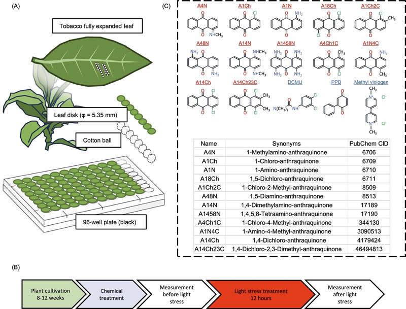 圖125022802.jpg 圖125022802.jpg
