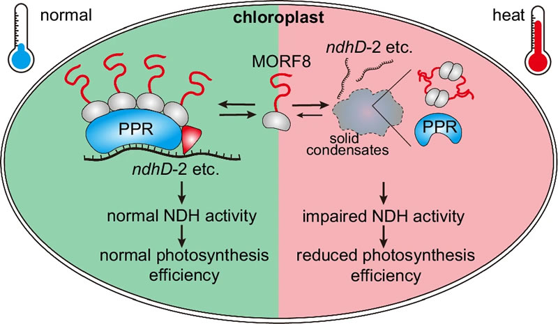 圖725032401s.jpg 圖725032401s.jpg
