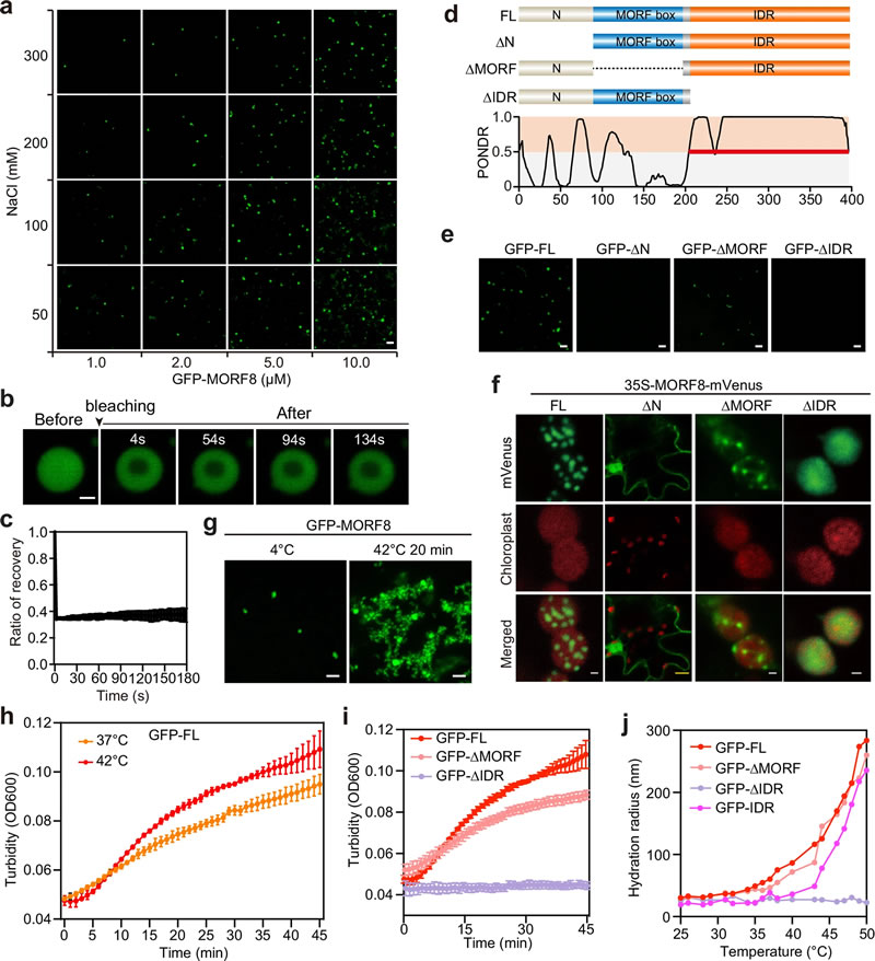 圖225032401s.jpg 圖225032401s.jpg