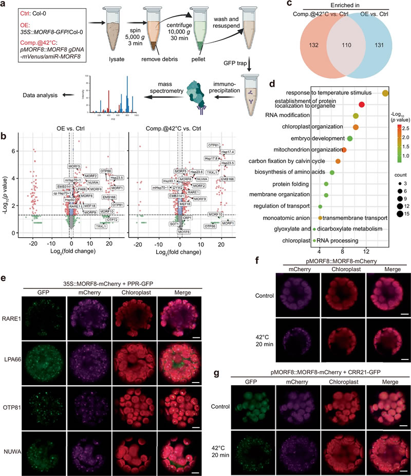 圖425032401s.jpg 圖425032401s.jpg