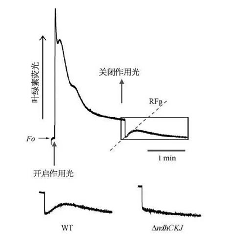 圖825032401s.jpg 圖825032401s.jpg