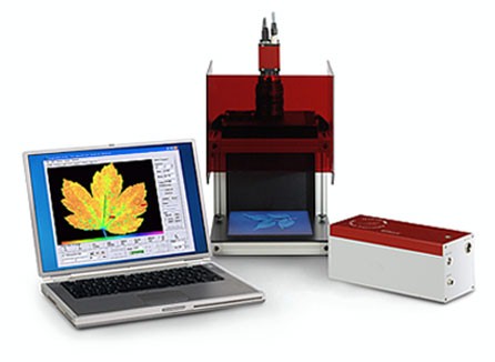 MAXI版本.jpg MAXI版本.jpg