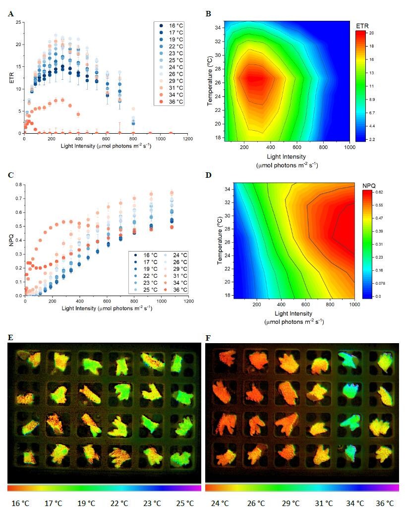 熱循環(huán)儀聯(lián)用2.jpg 熱循環(huán)儀聯(lián)用2.jpg