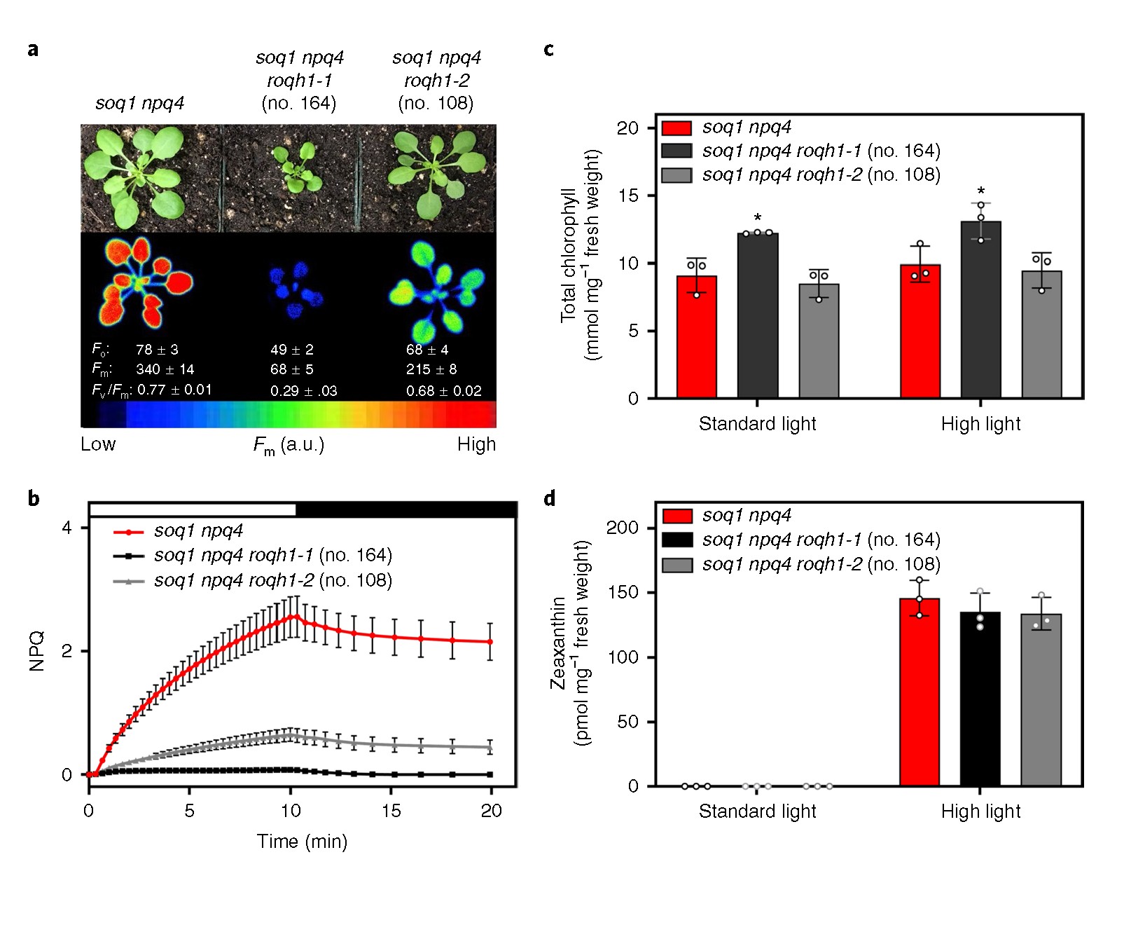 自我適應與調(diào)節(jié)1.jpg 自我適應與調(diào)節(jié)1.jpg