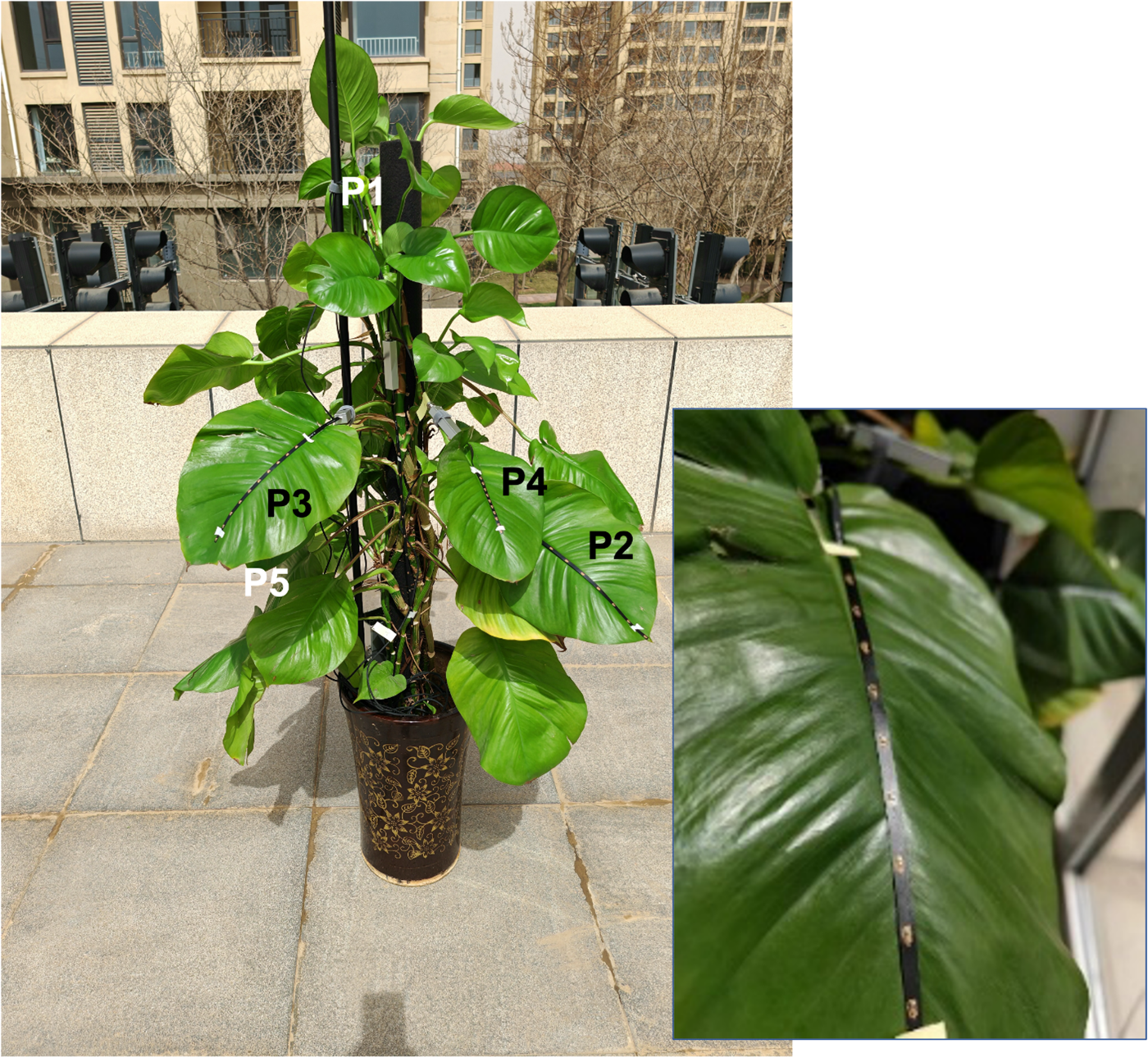 圖片3.png 圖片3.png