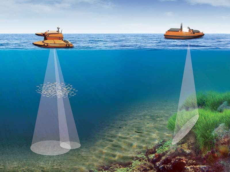 ECHO-USV-DTX1.jpg ECHO-USV-DTX1.jpg