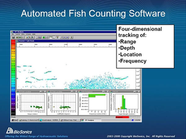 ECHO-USV-DTX65.jpg ECHO-USV-DTX65.jpg
