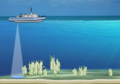 ECHO-USV-DTX81.jpg ECHO-USV-DTX81.jpg