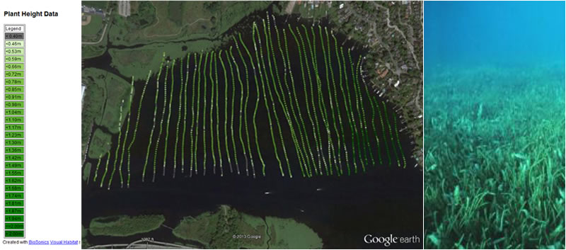 ECHO-USV-DTX9.jpg ECHO-USV-DTX9.jpg