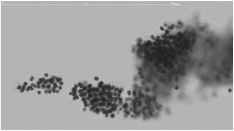 圖525062402.jpg 圖525062402.jpg