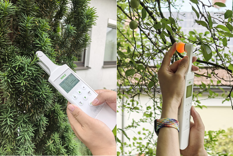 圖825070701.jpg 圖825070701.jpg