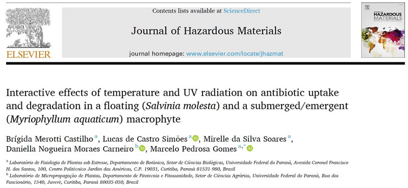 圖025080401.jpg 圖025080401.jpg