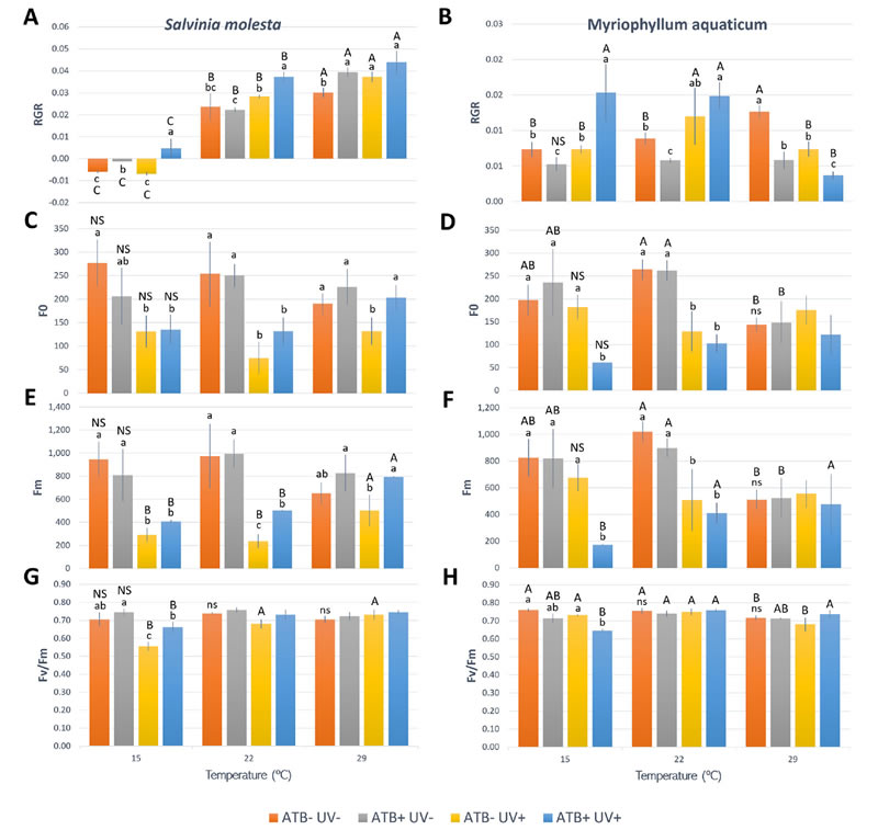圖125080401s.jpg 圖125080401s.jpg