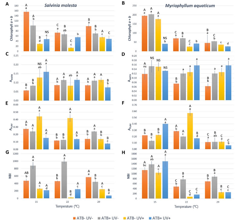 圖225080401s.jpg 圖225080401s.jpg